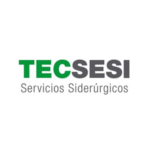 TECSESI · Servicios Siderúrgicos